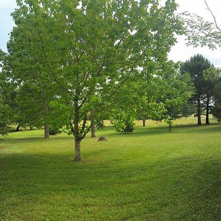 Une Pause Nature Chez Marion Et Cedric Montignac-Toupinerie Dış mekan fotoğraf